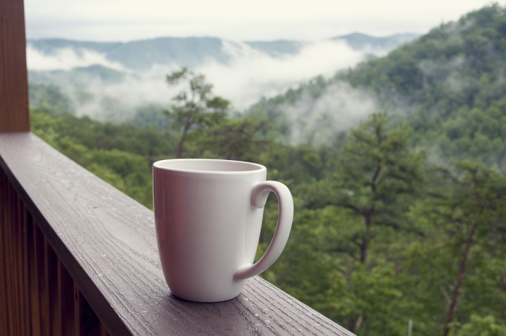 smoky mountains, coffee, nature-3021394.jpg